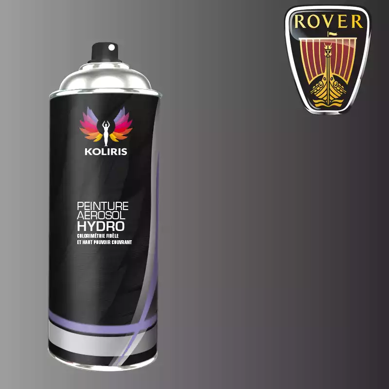 Bombe de peinture voiture hydro Rover 400ml