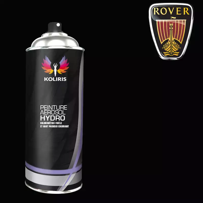 Bombe de peinture voiture hydro Rover 400ml