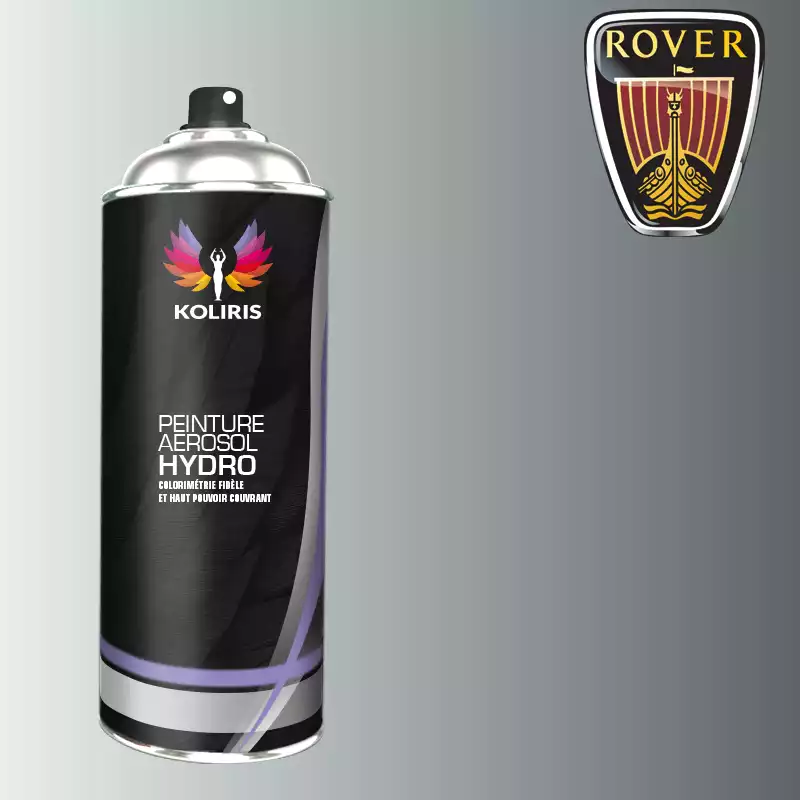 Bombe de peinture voiture hydro Rover 400ml
