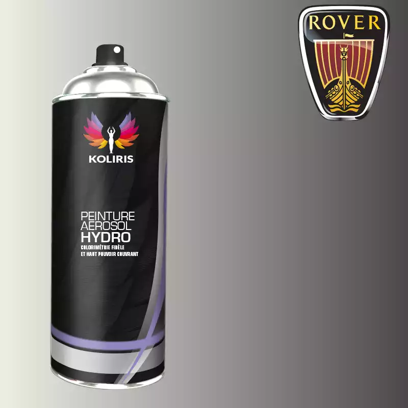 Bombe de peinture voiture hydro Rover 400ml