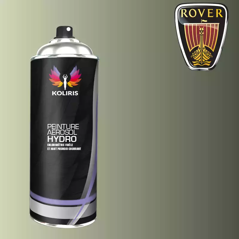 Bombe de peinture voiture hydro Rover 400ml