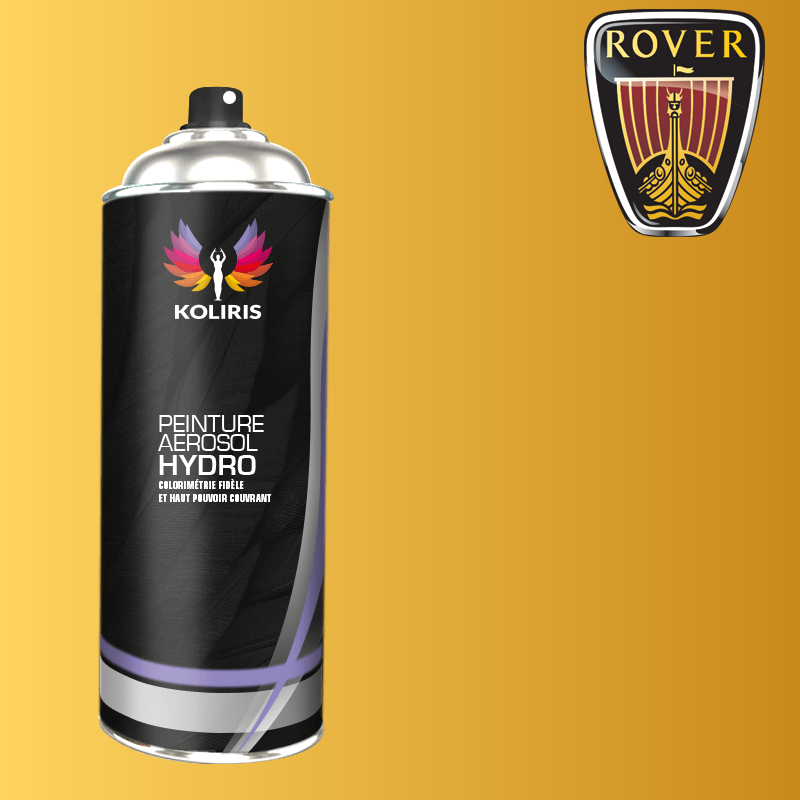 Bombe de peinture voiture hydro Rover 400ml