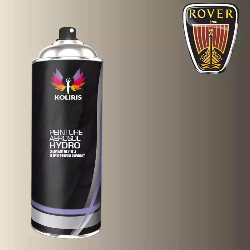 Bombe de peinture voiture hydro Rover 400ml