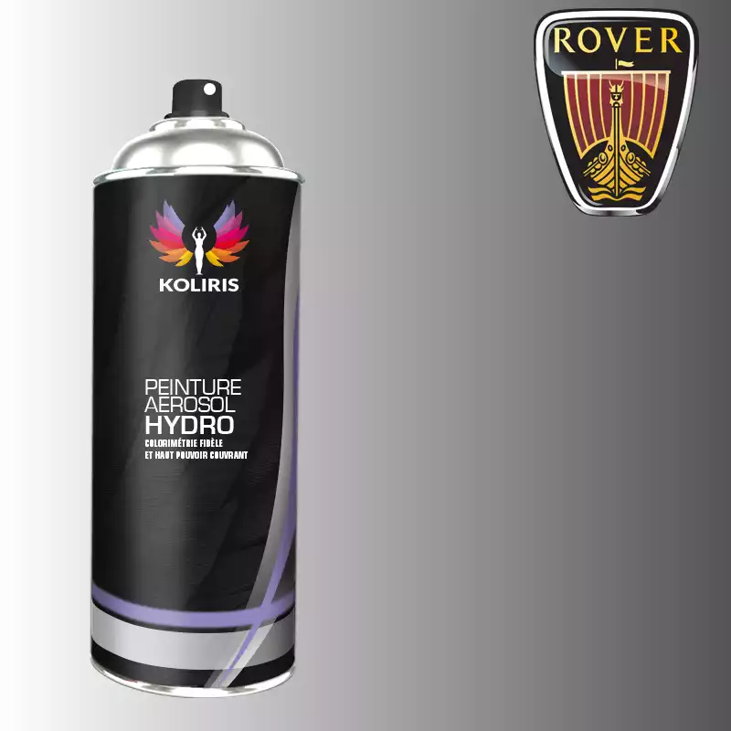 Bombe de peinture voiture hydro Rover 400ml