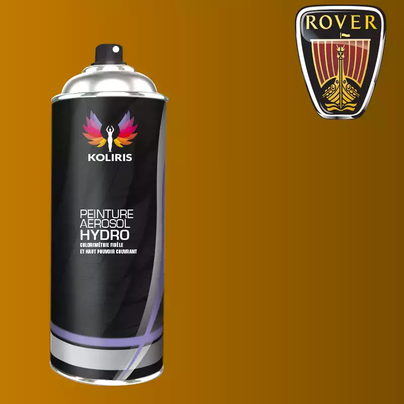 Bombe de peinture voiture hydro Rover 400ml