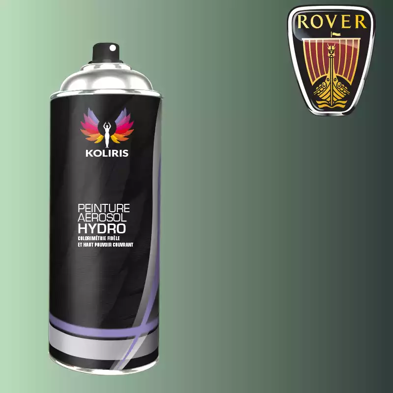 Bombe de peinture voiture hydro Rover 400ml