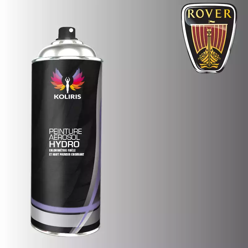 Bombe de peinture voiture hydro Rover 400ml