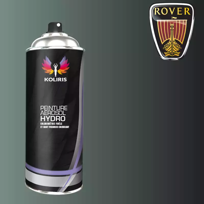 Bombe de peinture voiture hydro Rover 400ml