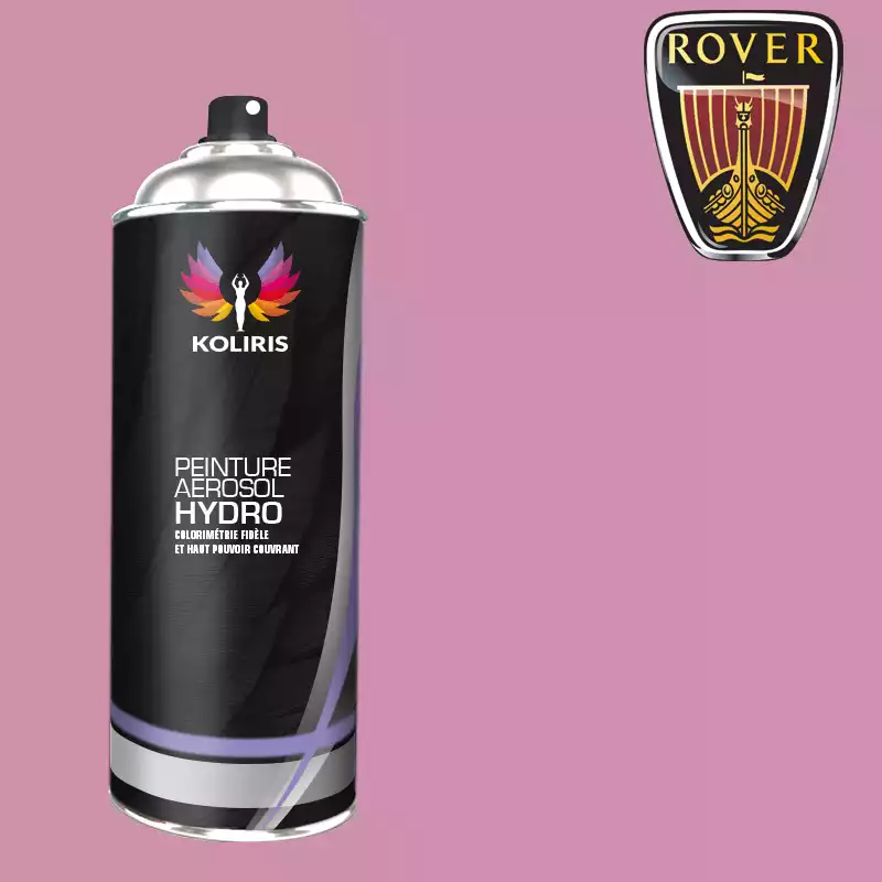 Bombe de peinture voiture hydro Rover 400ml