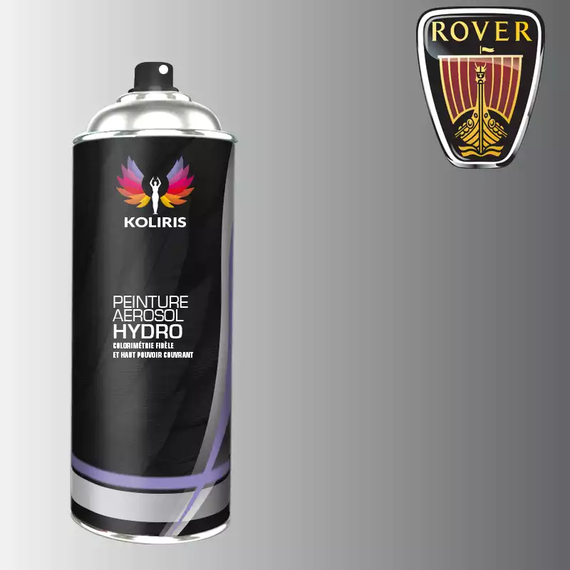 Bombe de peinture voiture hydro Rover 400ml