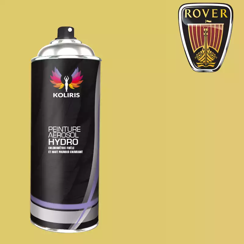 Bombe de peinture voiture hydro Rover 400ml