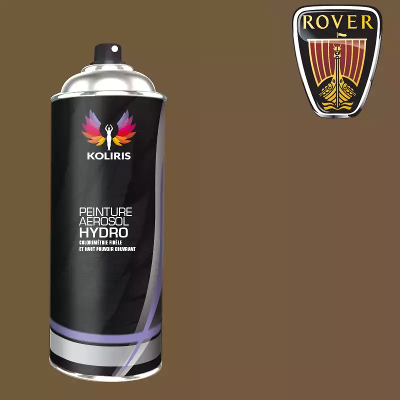 Bombe de peinture voiture hydro Rover 400ml