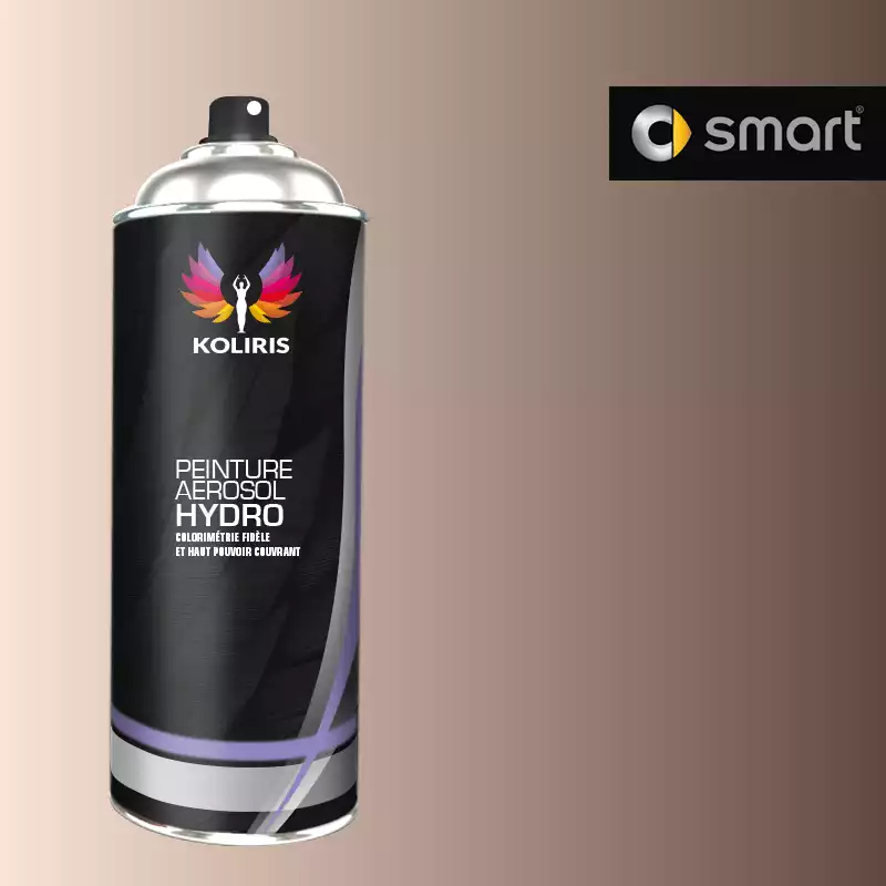 Bombe de peinture voiture hydro Smart 400ml