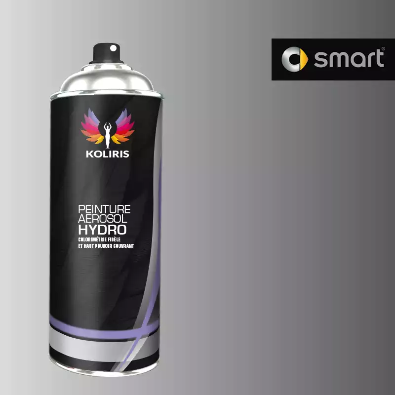 Bombe de peinture voiture hydro Smart 400ml