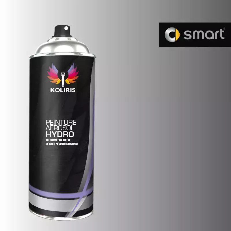 Bombe de peinture voiture hydro Smart 400ml