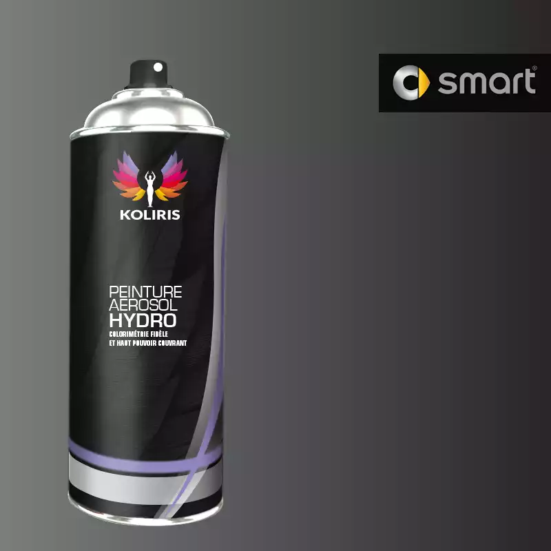 Bombe de peinture voiture hydro Smart 400ml