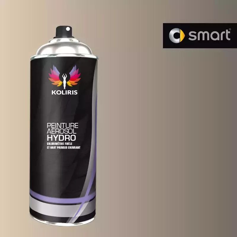 Bombe de peinture voiture hydro Smart 400ml