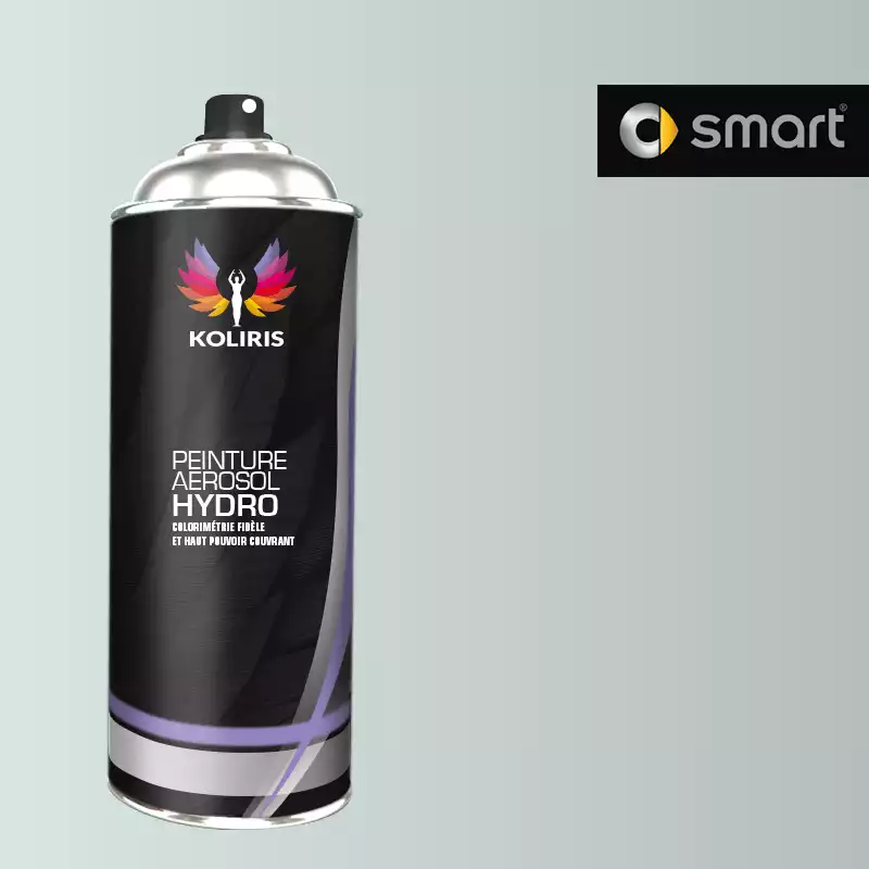 Bombe de peinture voiture hydro Smart 400ml