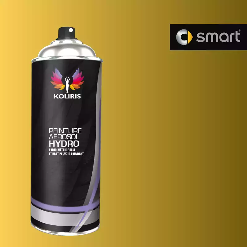 Bombe de peinture voiture hydro Smart 400ml