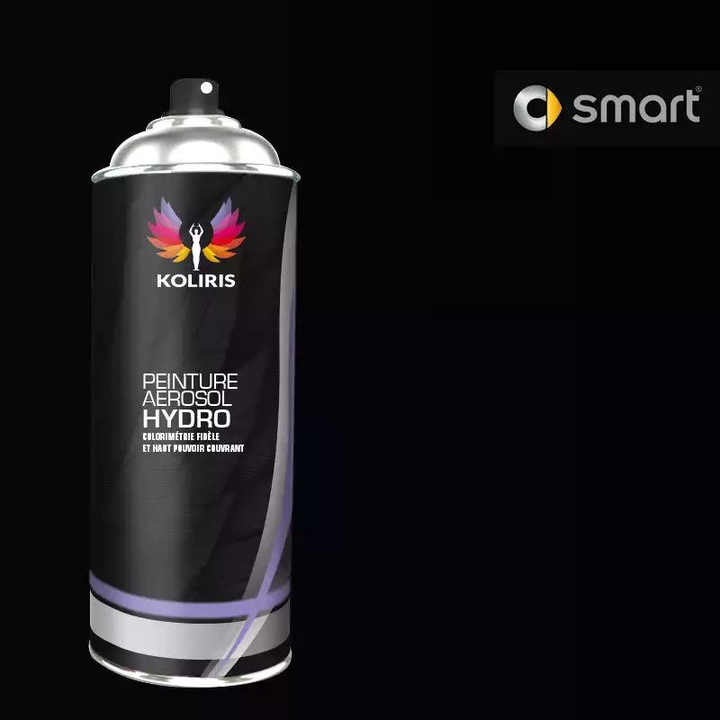 Bombe de peinture voiture hydro Smart 400ml