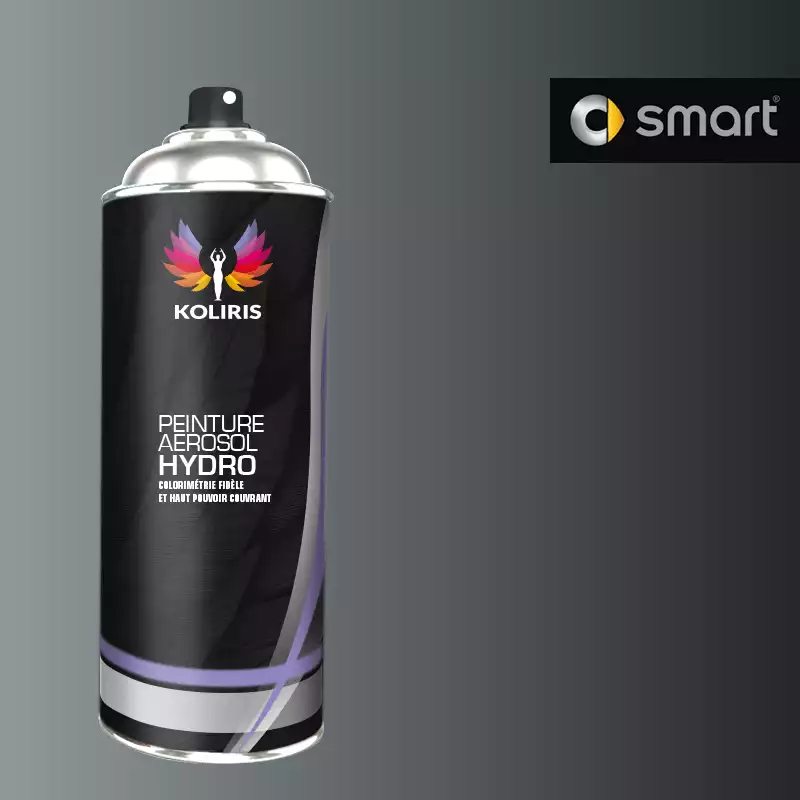 Bombe de peinture voiture hydro Smart 400ml