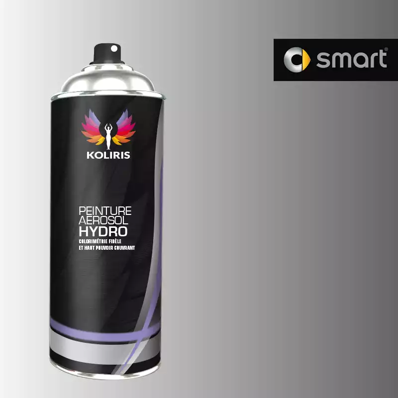 Bombe de peinture voiture hydro Smart 400ml