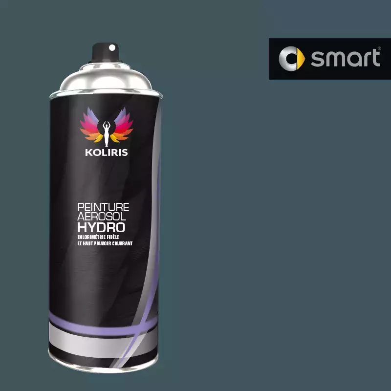 Bombe de peinture voiture hydro Smart 400ml