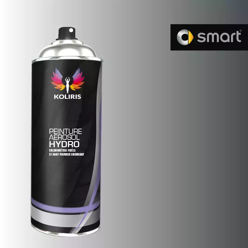 Bombe de peinture voiture hydro Smart 400ml