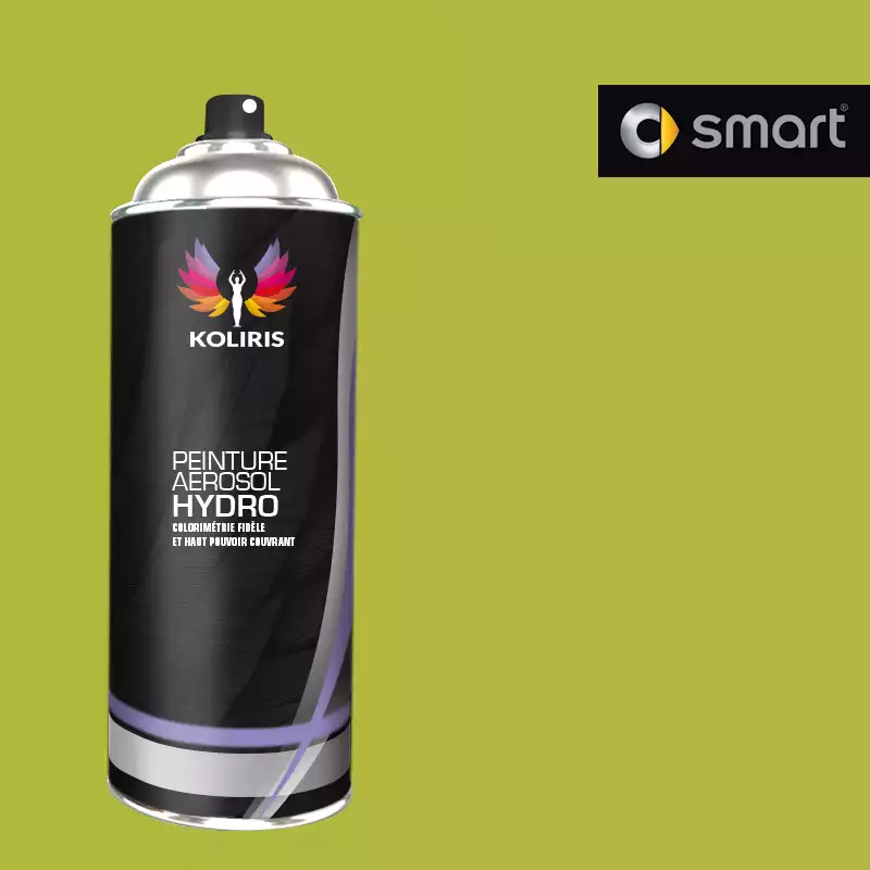 Bombe de peinture voiture hydro Smart 400ml