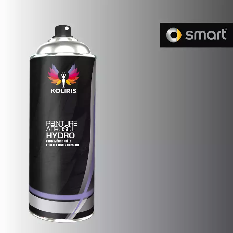 Bombe de peinture voiture hydro Smart 400ml