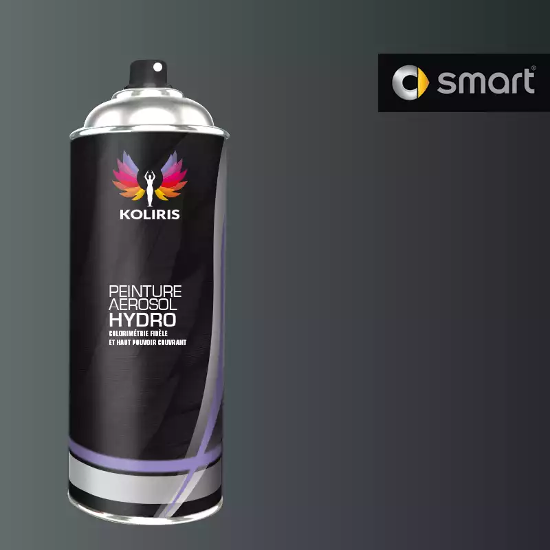 Bombe de peinture voiture hydro Smart 400ml