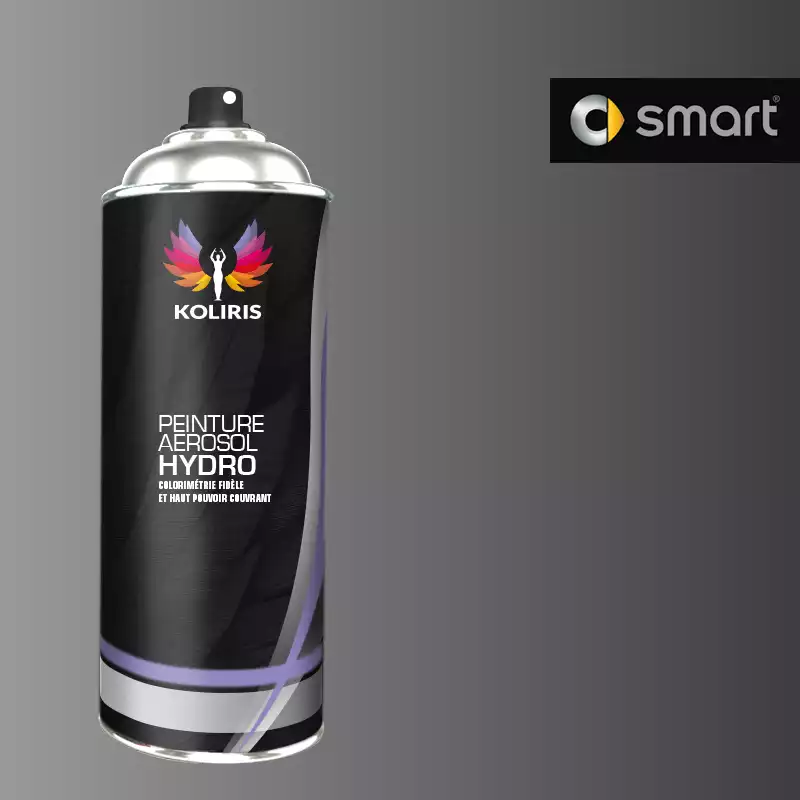 Bombe de peinture voiture hydro Smart 400ml