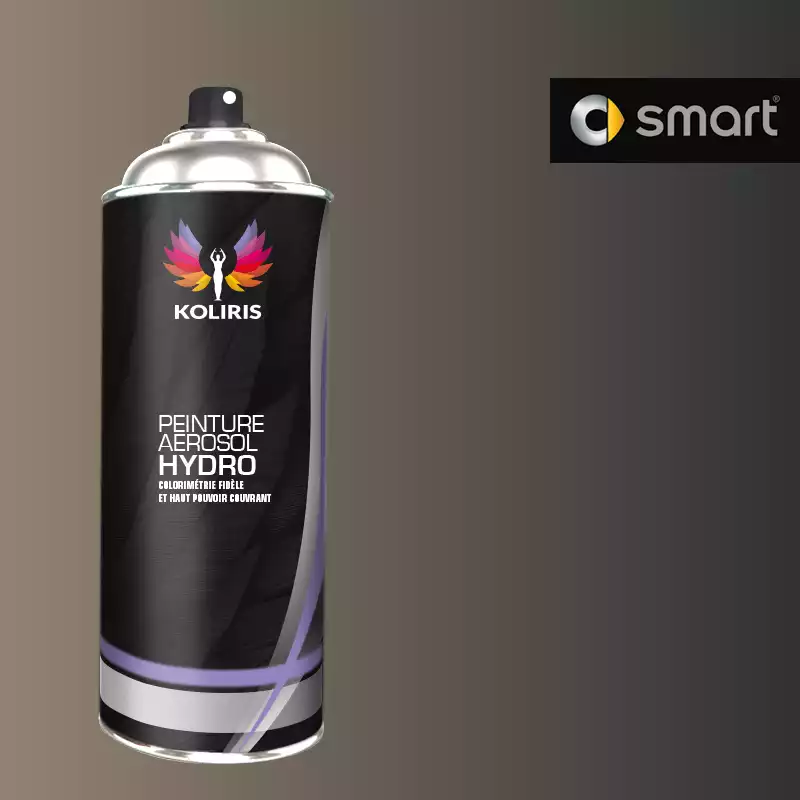 Bombe de peinture voiture hydro Smart 400ml