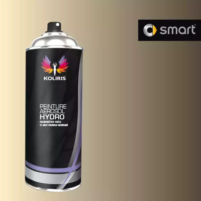 Bombe de peinture voiture hydro Smart 400ml