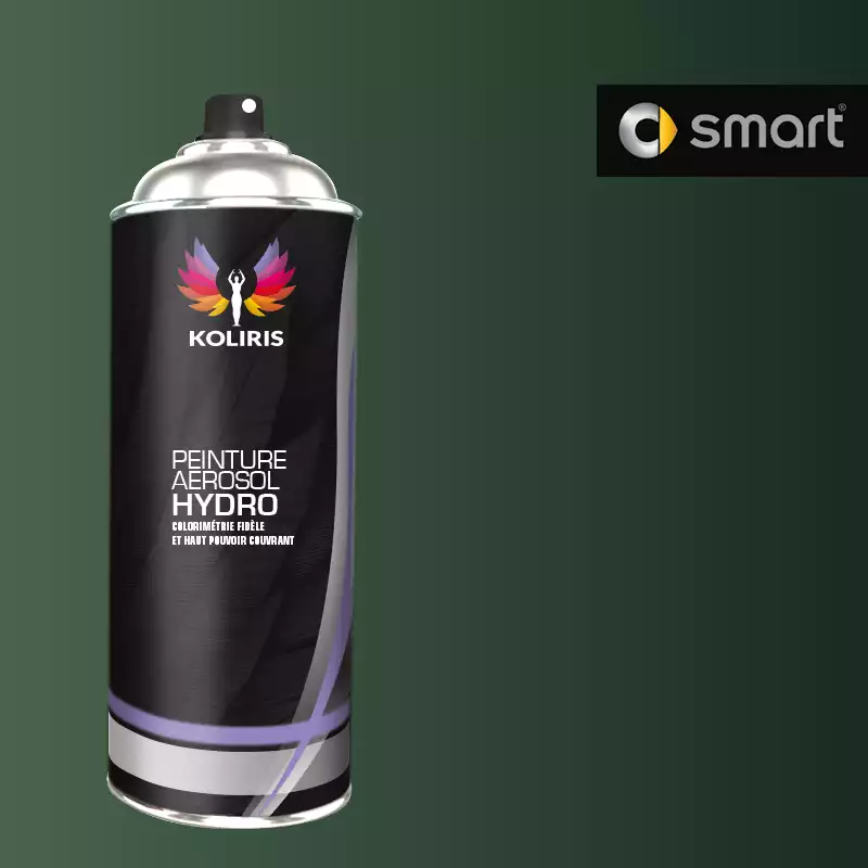 Bombe de peinture voiture hydro Smart 400ml