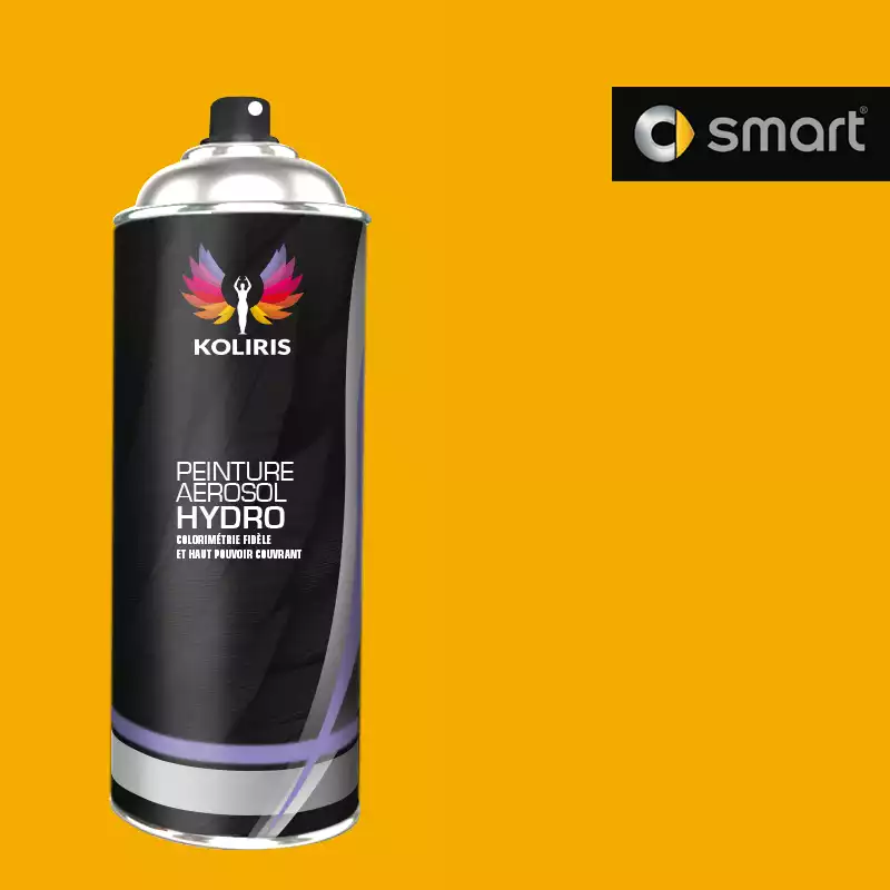 Bombe de peinture voiture hydro Smart 400ml