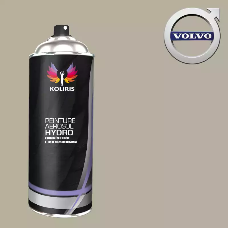 Bombe de peinture voiture hydro Volvo 400ml