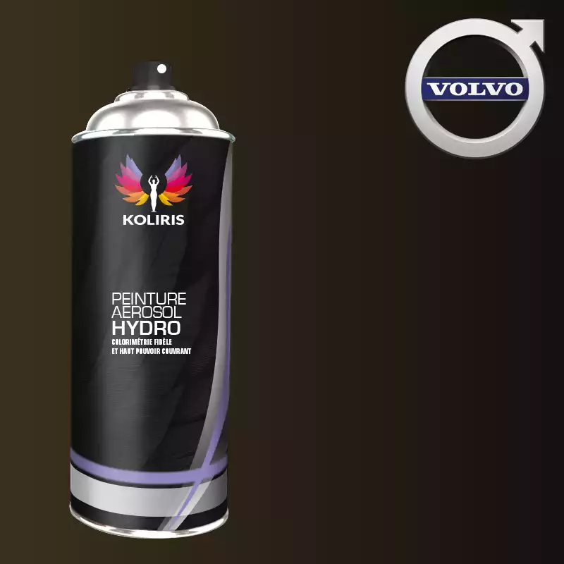 Bombe de peinture voiture hydro Volvo 400ml