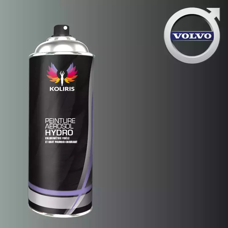 Bombe de peinture voiture hydro Volvo 400ml