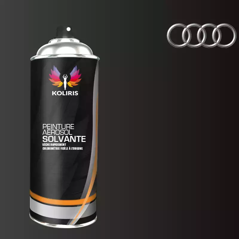 Bombe de peinture voiture solvant Audi 400ml