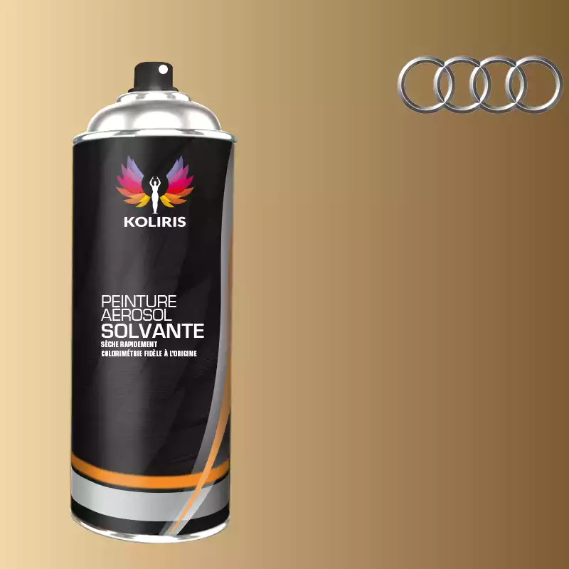 Bombe de peinture voiture solvant Audi 400ml