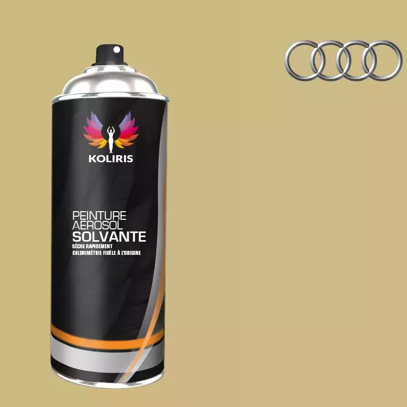 Bombe de peinture voiture solvant Audi 400ml