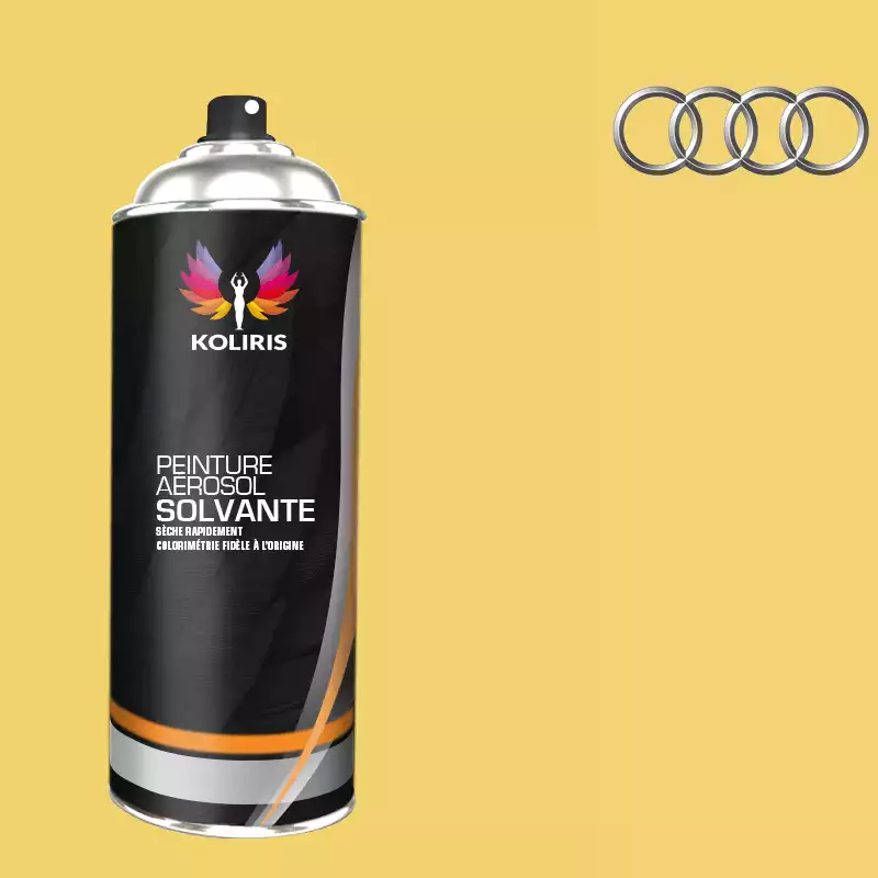 Bombe de peinture voiture solvant Audi 400ml