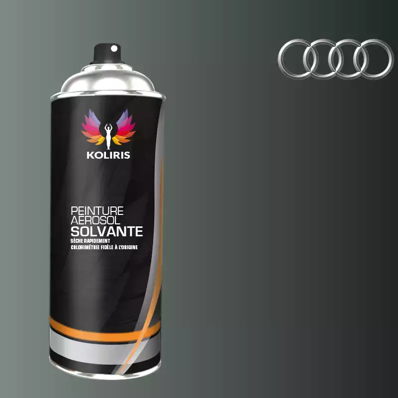 Bombe de peinture voiture solvant Audi 400ml