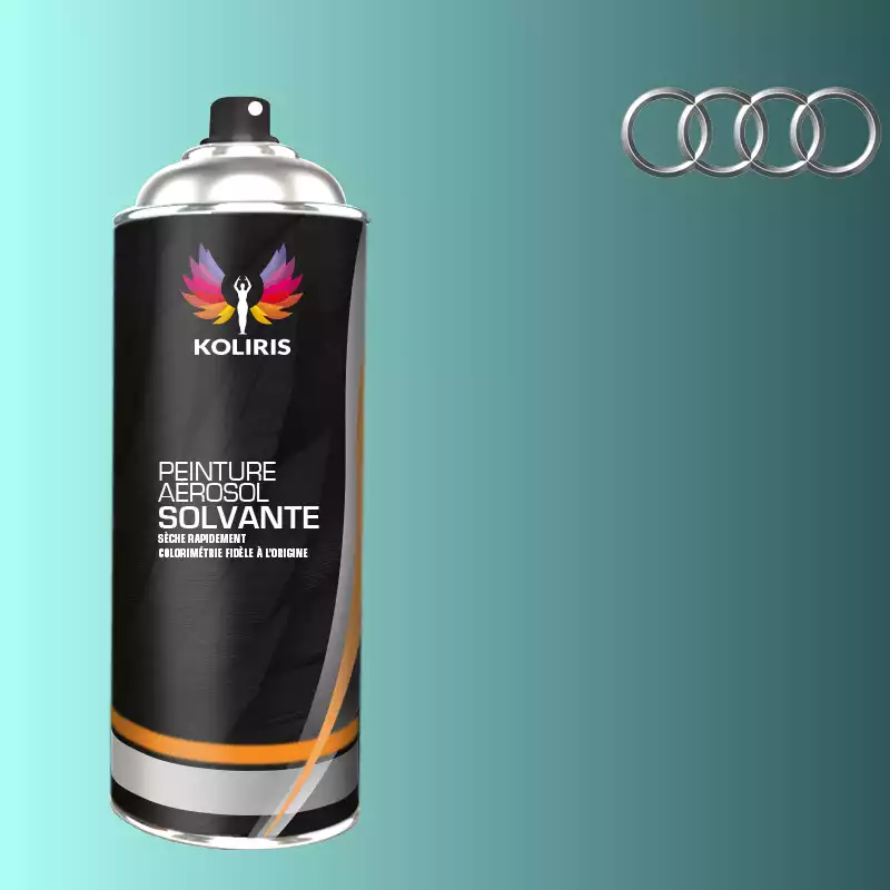 Bombe de peinture voiture solvant Audi 400ml