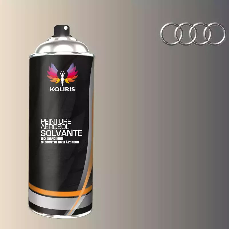 Bombe de peinture voiture solvant Audi 400ml