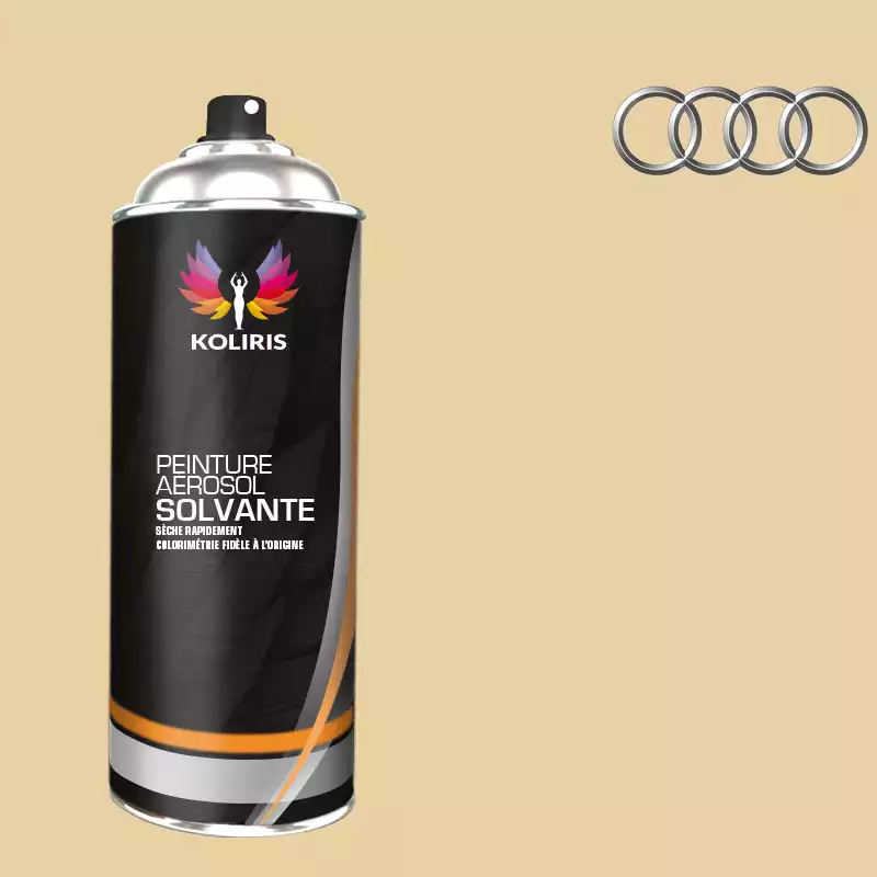 Bombe de peinture voiture solvant Audi 400ml