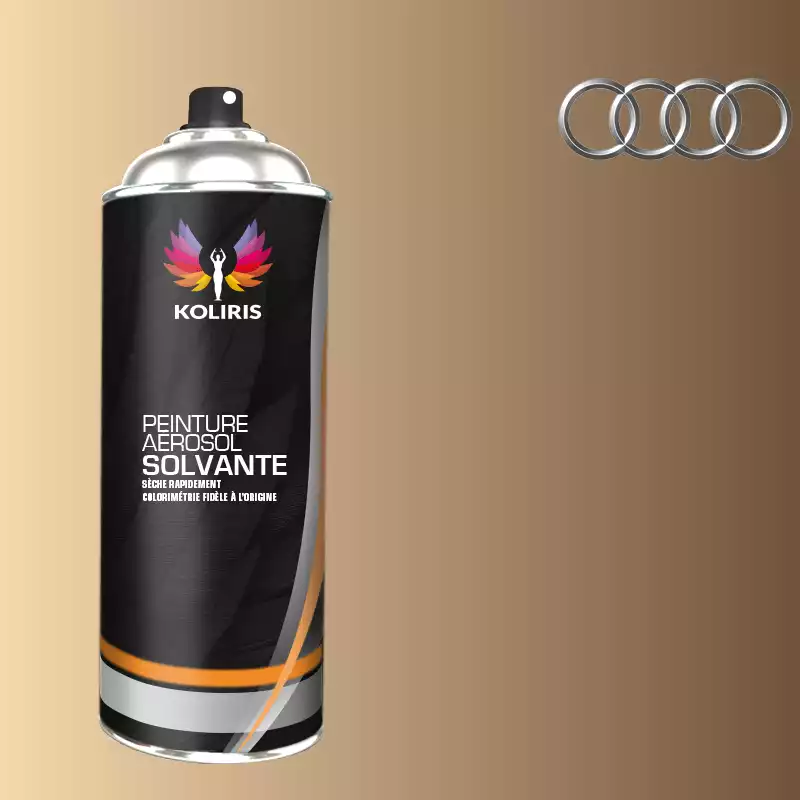 Bombe de peinture voiture solvant Audi 400ml