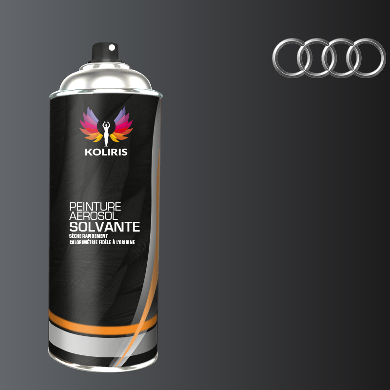 Bombe de peinture voiture solvant Audi 400ml