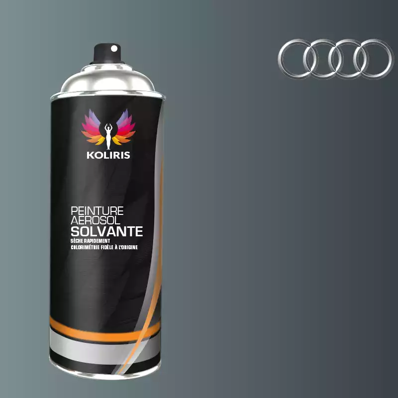 Bombe de peinture voiture solvant Audi 400ml